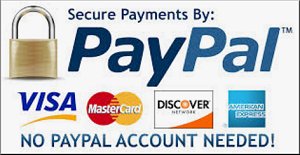 We accept payments using PayPal